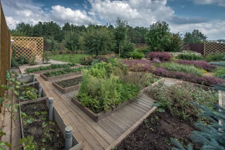 ландшафтный дизайн садового участка - декоративный огород